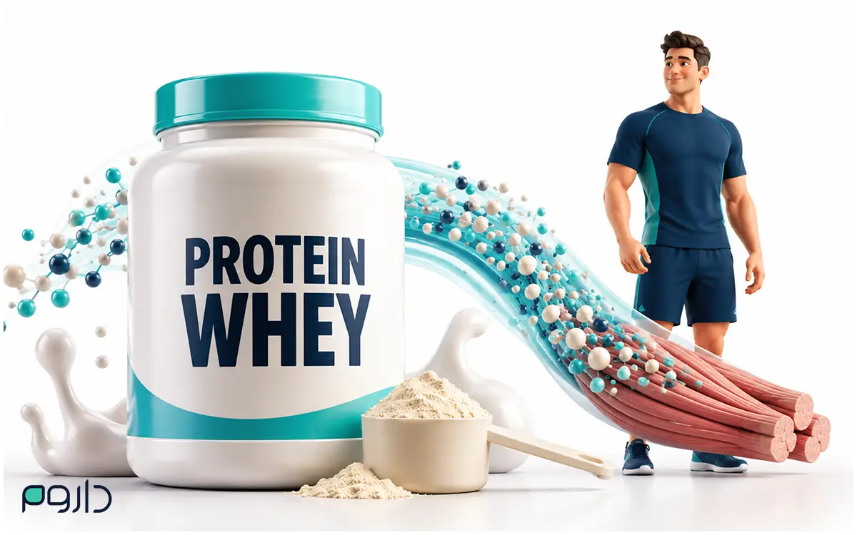 پروتئین وی چیست؟ راهنمای انتخاب، مصرف و انواع Whey Protein