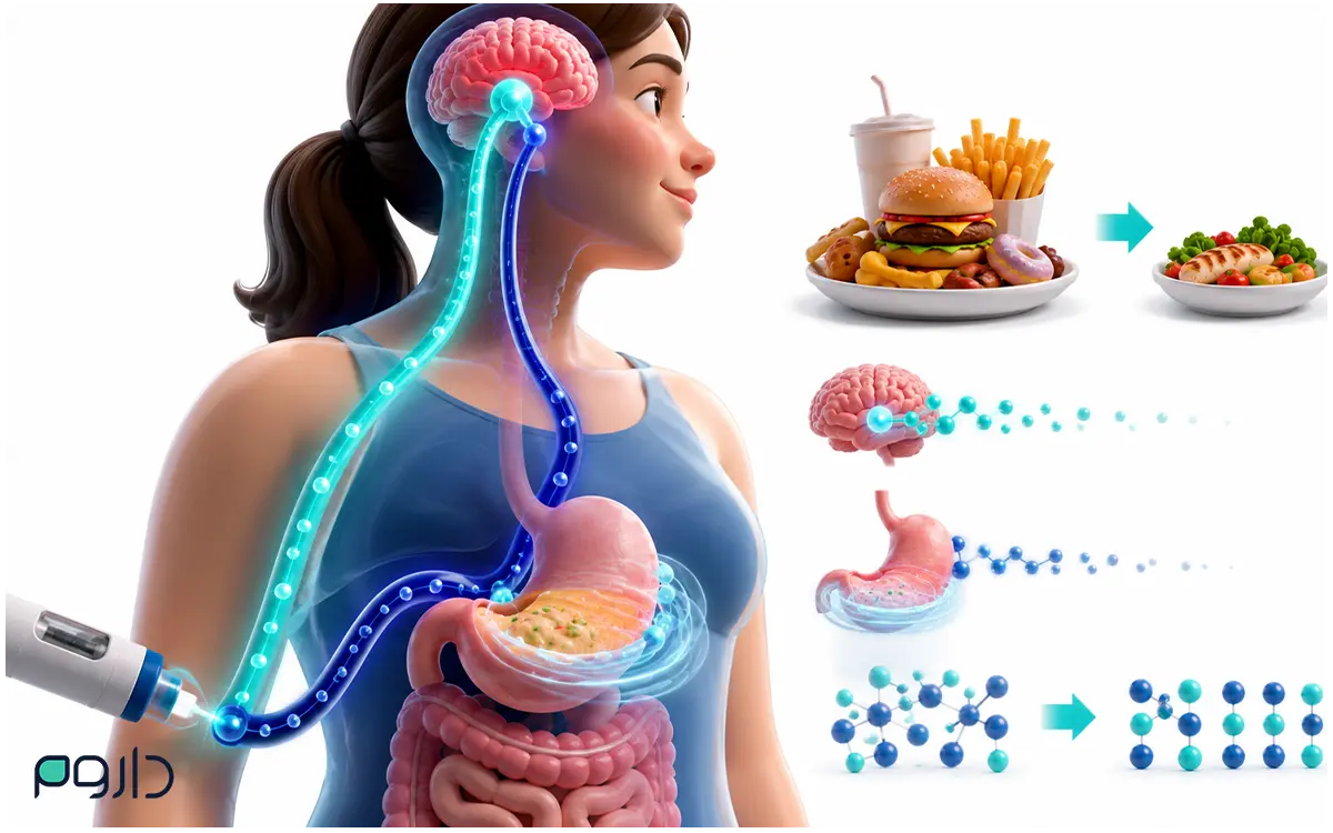 نحوه اثر آمپول زیکورپا و تیرزپاتاید بر کاهش اشتها، افزایش سیری و تخلیه معده