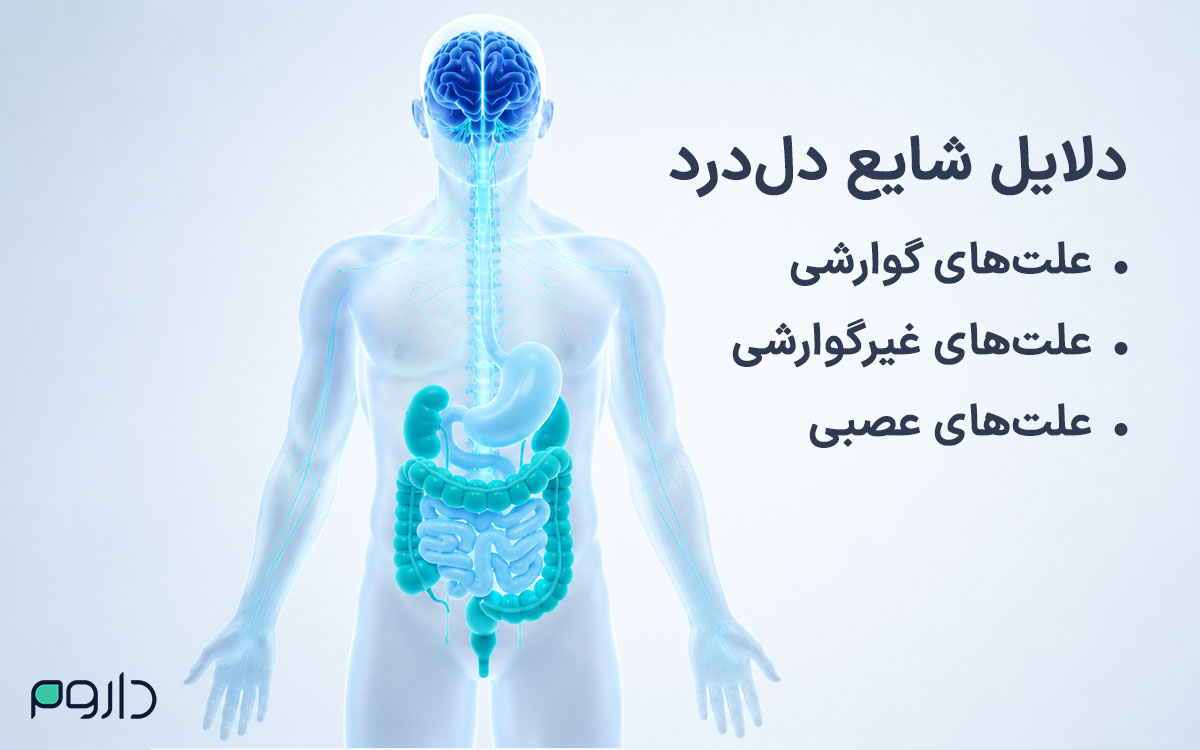 دلایل شایع دل‌درد: بررسی علل گوارشی، غیرگوارشی و عصبی در آناتومی بدن
