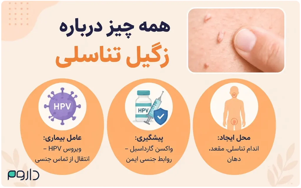 زگیل تناسلی با تصویر زائده‌های پوستی، نماد ویروس HPV، آیکون واکسن و نواحی درگیر بدن.