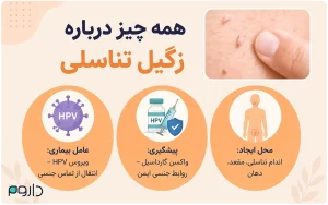 زگیل تناسلی با تصویر زائده‌های پوستی، نماد ویروس HPV، آیکون واکسن و نواحی درگیر بدن.