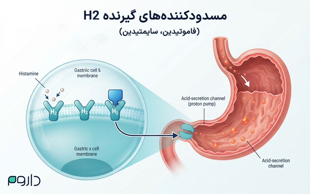 مهار گیرنده‌های H2 و کاهش ترشح اسید معده