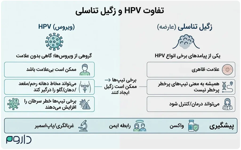 اینفوگرافیک تفاوت ویروس HPV و عارضه زگیل تناسلی به همراه علائم و روش‌های پیشگیری.