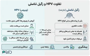 اینفوگرافیک تفاوت ویروس HPV و عارضه زگیل تناسلی به همراه علائم و روش‌های پیشگیری.