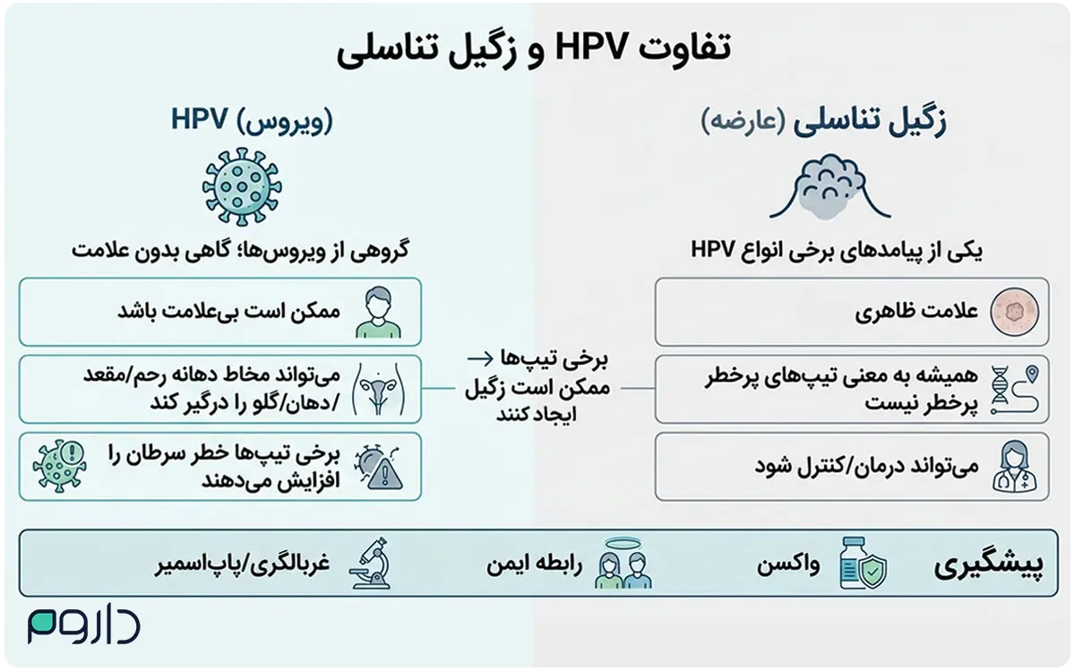 اینفوگرافیک تفاوت ویروس HPV و عارضه زگیل تناسلی به همراه علائم و روش‌های پیشگیری.