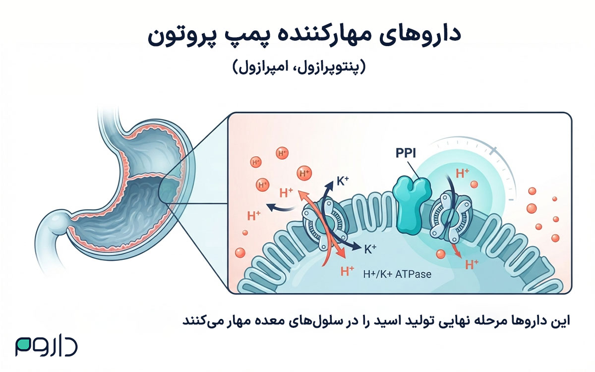 عملکرد داروهای PPI در مهار پمپ پروتون و کاهش ترشح اسید معده.